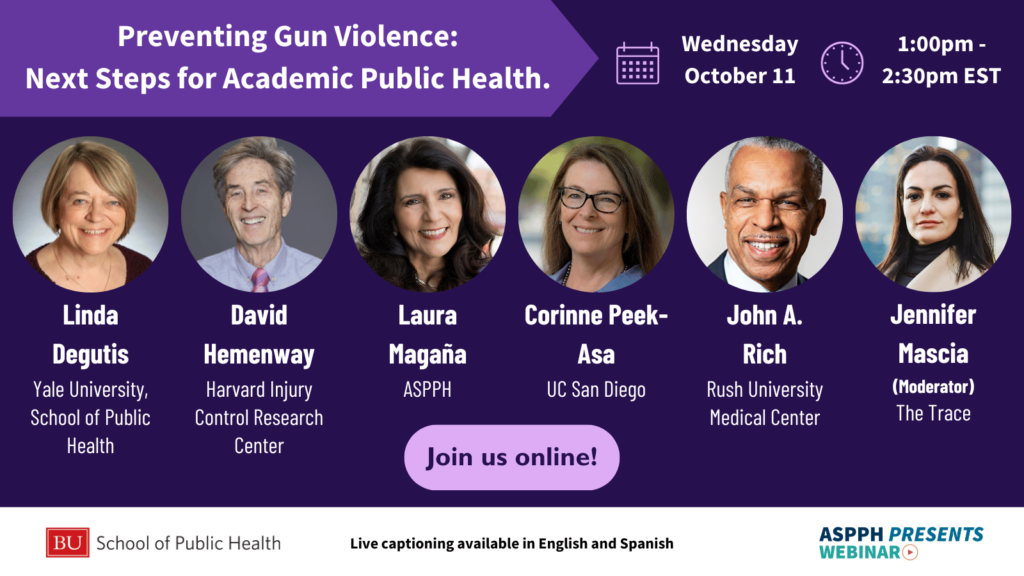 Preventing Gun Violence Next Steps Webinar v3 FL