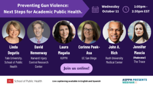Preventing Gun Violence Next Steps Webinar v3 FL