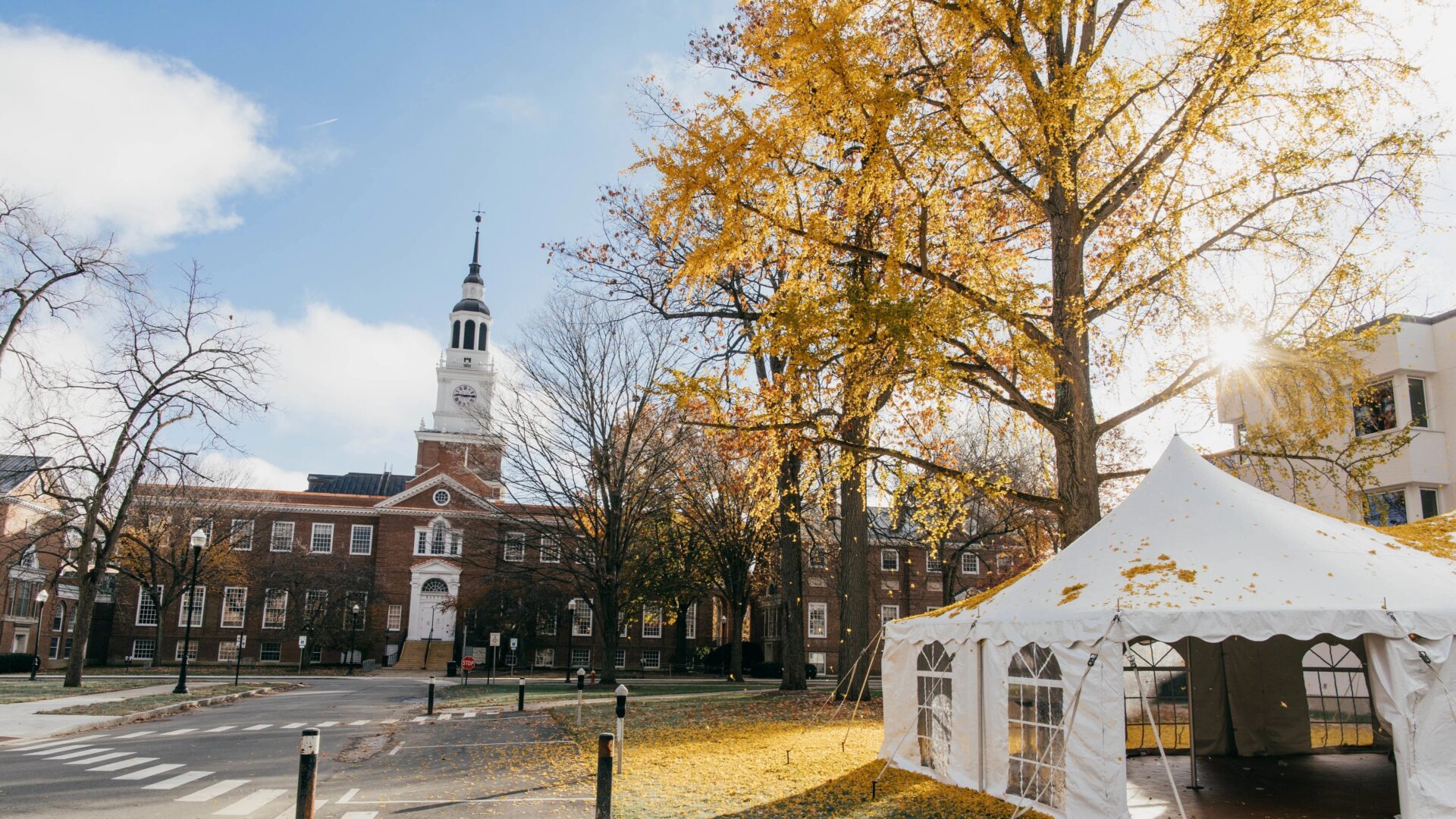 20201031_ginkgo_tree_rg_0024