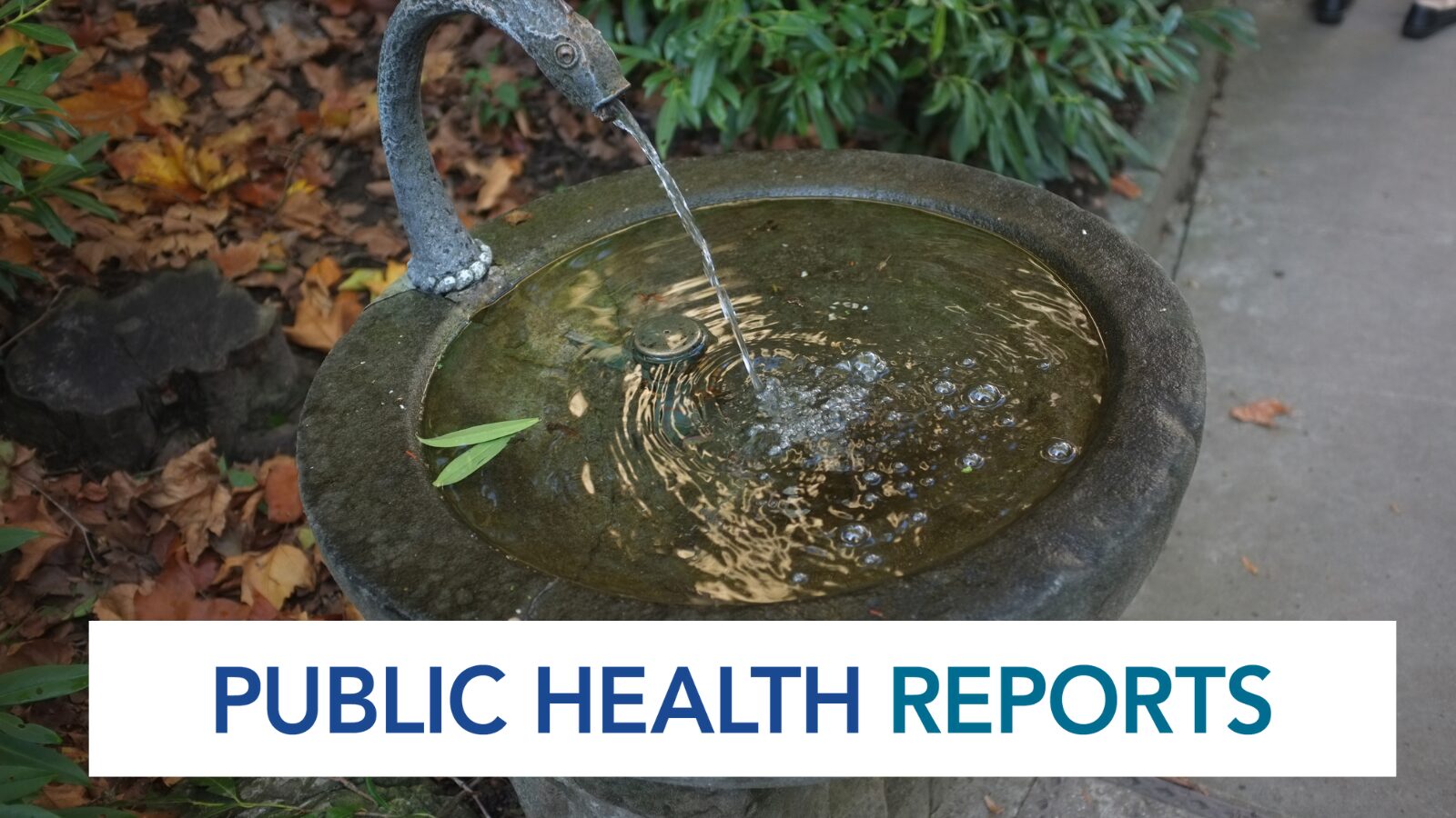 A water foundation in a garden with text overlay of Public Health Reports