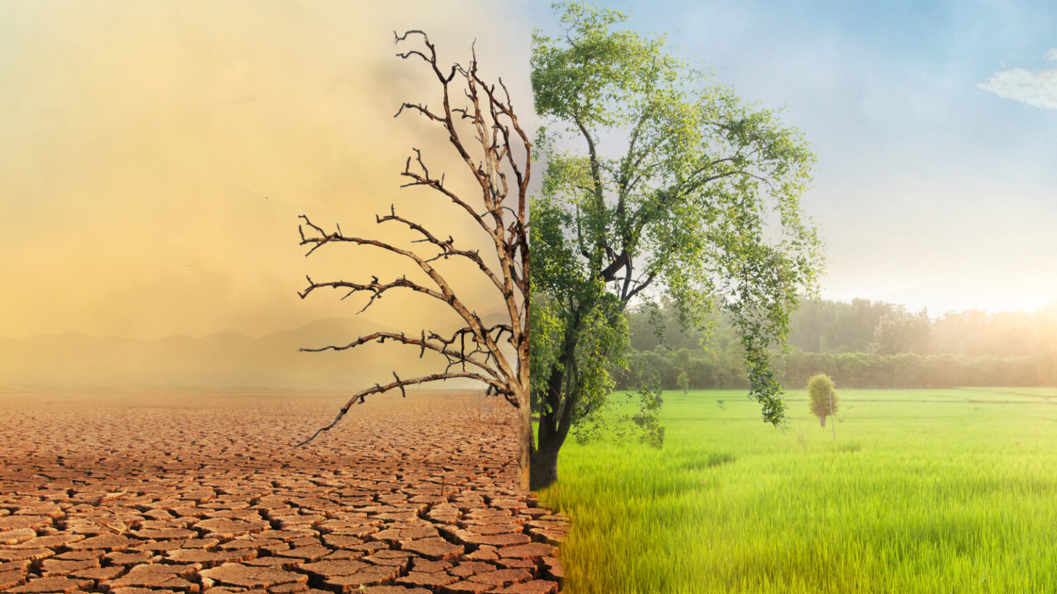 An illustration depicting the effects of climate change