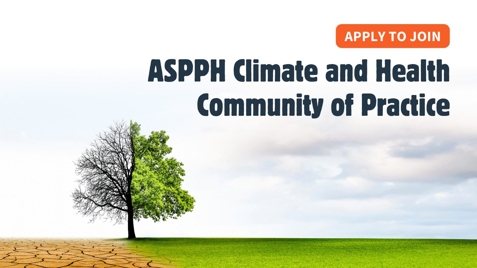 Apply to join ASPPH climate and health community of practice text with image of tree