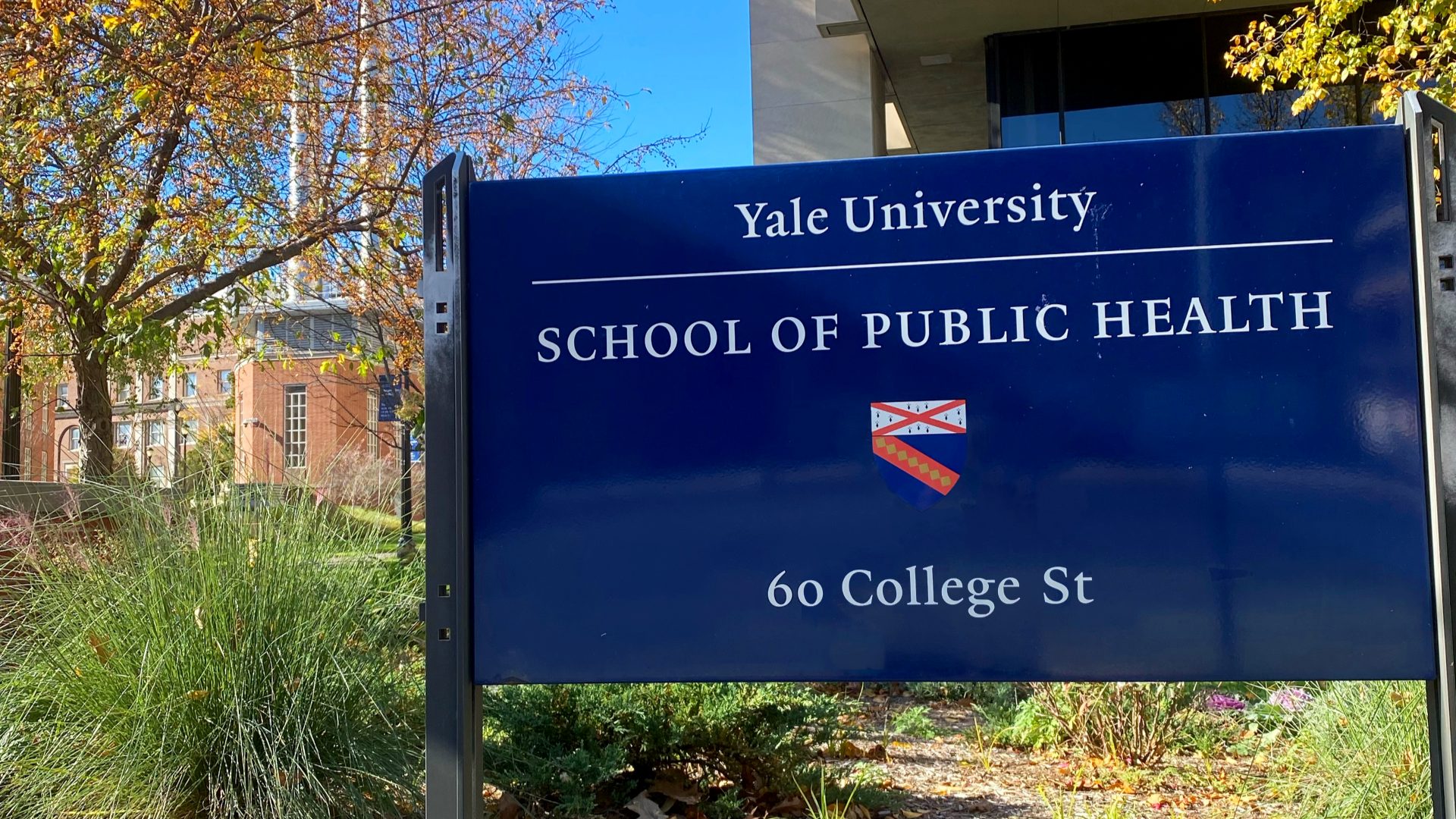 Measles Outbreaks Are Costing the US Millions of Dollars, According to a New Yale Study