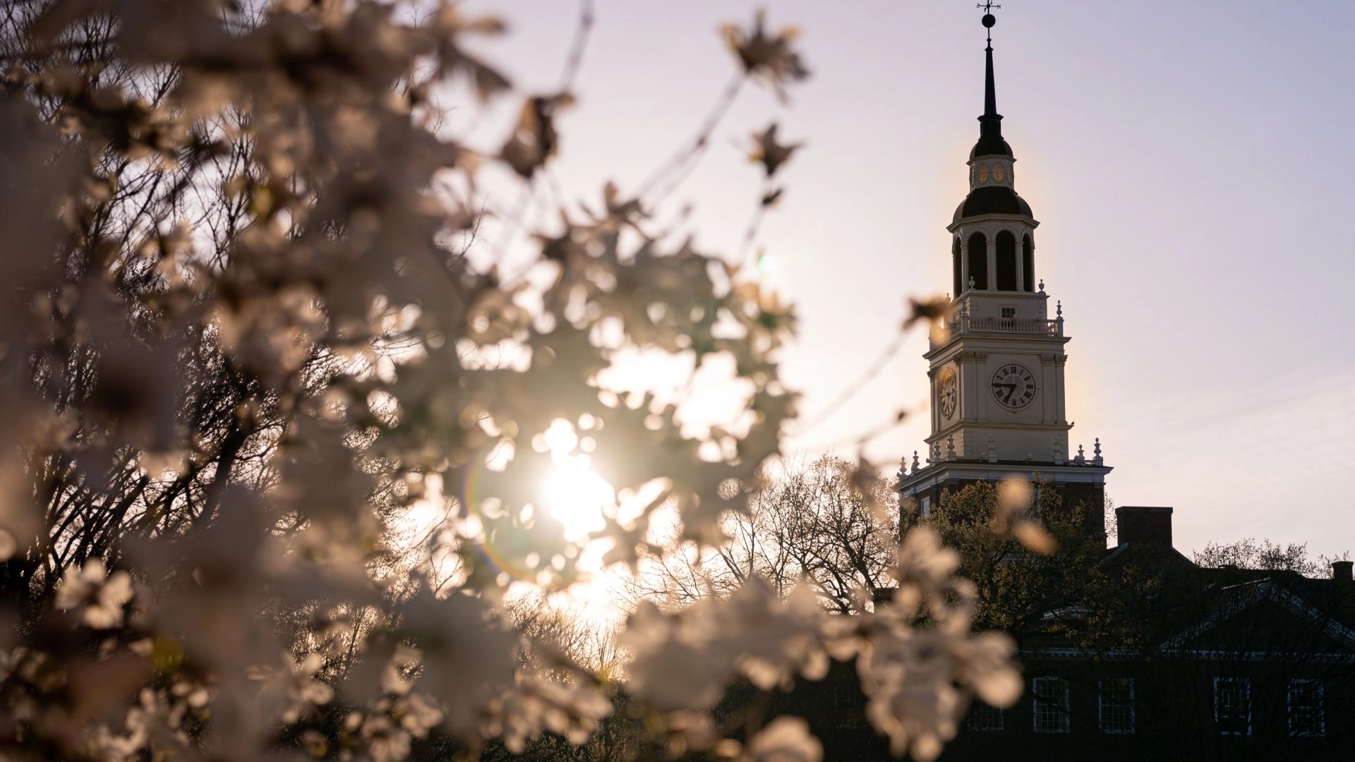 Image is not available