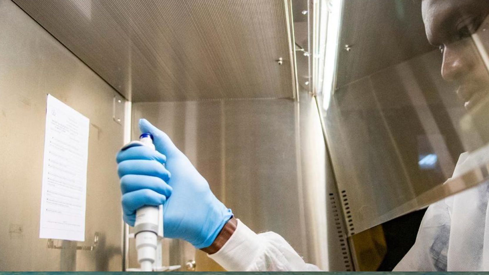 Image is not available