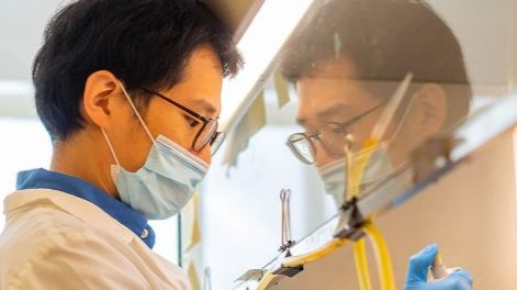 Image is not available