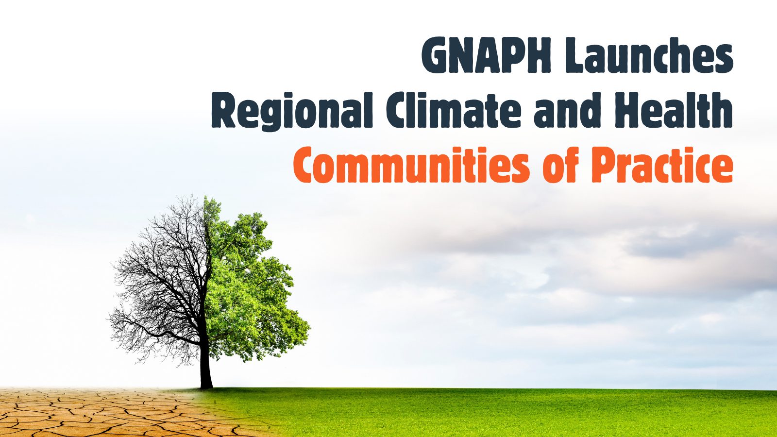 GNAPH Launches Regional Climate and Health CoP text with image of tree