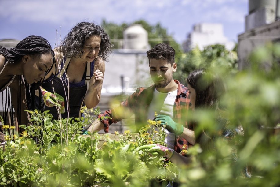 Assessing the Potential to Scale Up Urban Agriculture in the Global North