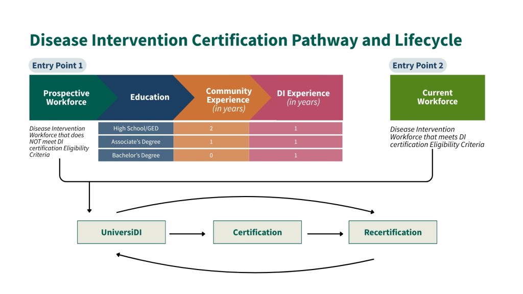 DI Pathway and Lifecycle 