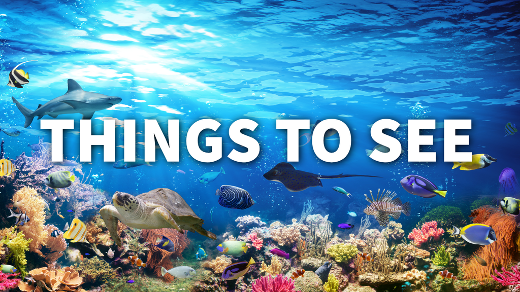 things to see
